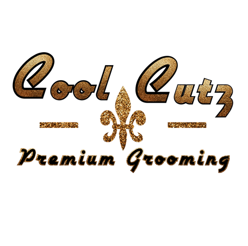 CoolCutz Grooming Studio