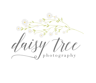 Daisy Tree Photography