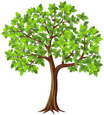 Tree's Therapeutic Massage