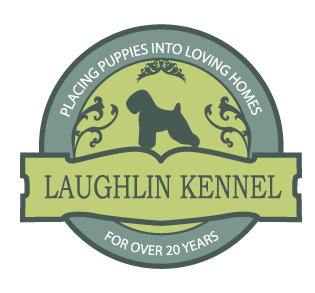 Laughlin Kennel