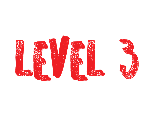 Level 3