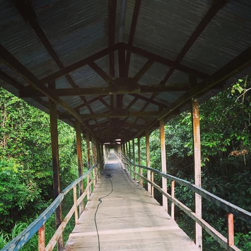 Amazonia Holistics