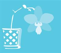 Blue Orchid Massage
