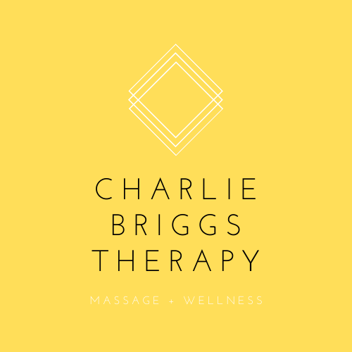 Charlie Briggs Therapy