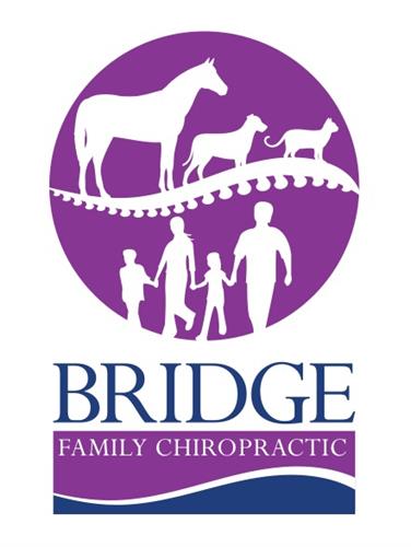 Bridge Family Chiropractic