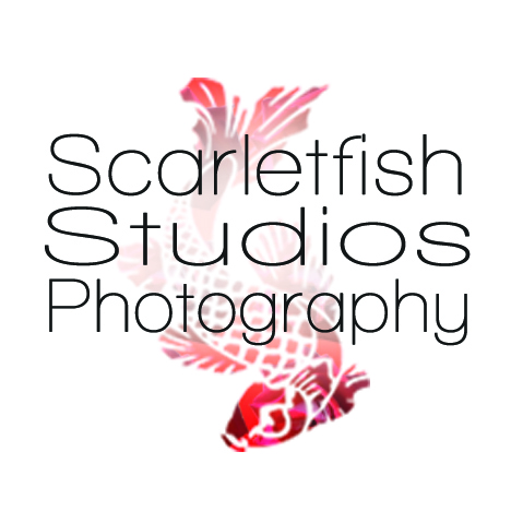 Scarletfish Studios Photography