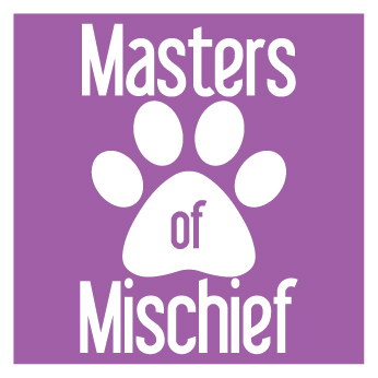 Masters Of Mischief Dog Training & Behavior