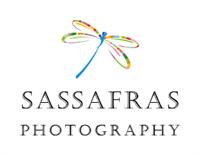 sassafras photography