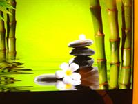 Advance Therapy and Wellness Center Inc