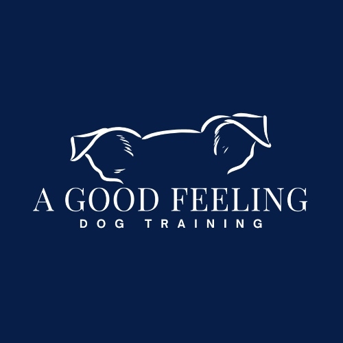 A Good Feeling Dog Training