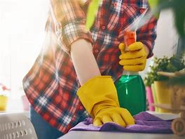 Southern Maid Cleaning Services, LLC