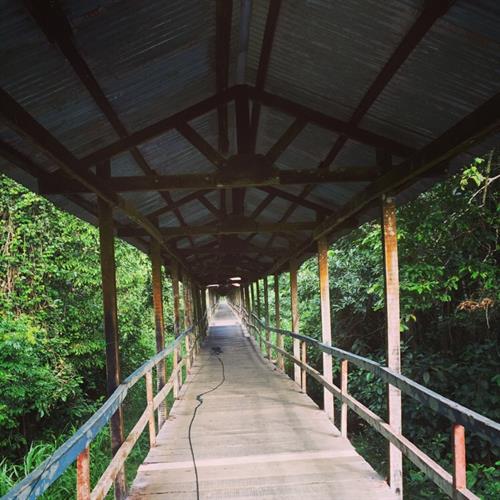 Amazonia Holistics