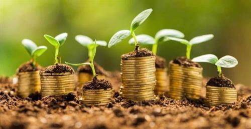 L and L Financial Solutions