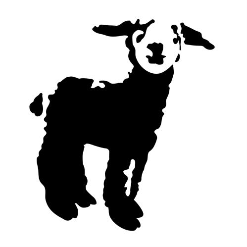 Black Sheep Community Acupuncture, LLC
