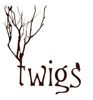 Anne Stewart at Twigs Salon