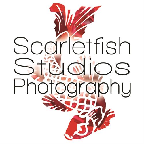 Scarletfish Studios
