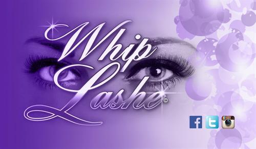Whip Lashe Studio