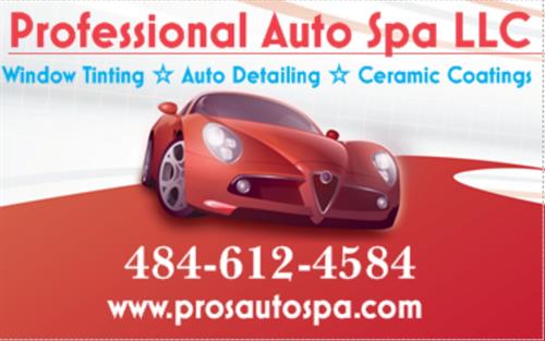 Professional Auto Spa LLC