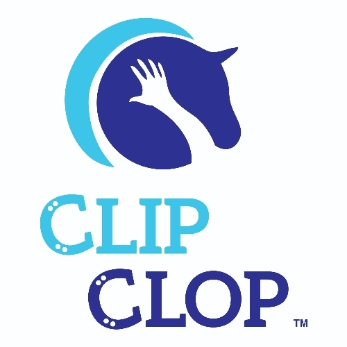 Clip Clop Horseback Riding Lessons