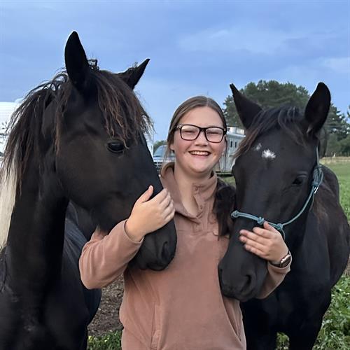 Versatile Horsemanship - Education & Training in Negaunee, MI