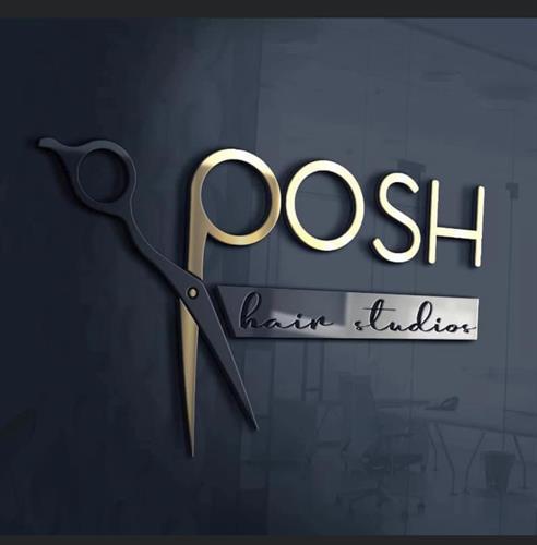 POSH HAIR STUDIOS LLC