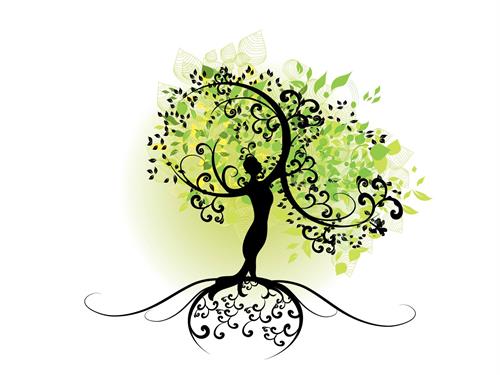 Surviving Naturally, Sandra Miceli NP, Family Health