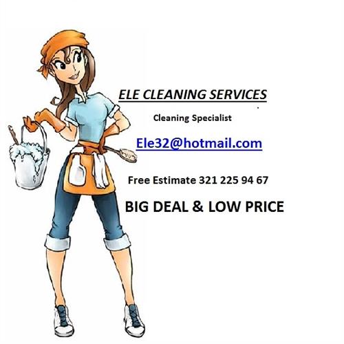Ele cleaning services