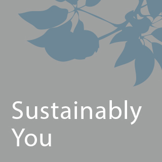 Santa Barbara: Sustainably You Bodywork + Skincare