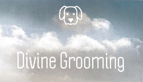 Divine Grooming at The Good Companion