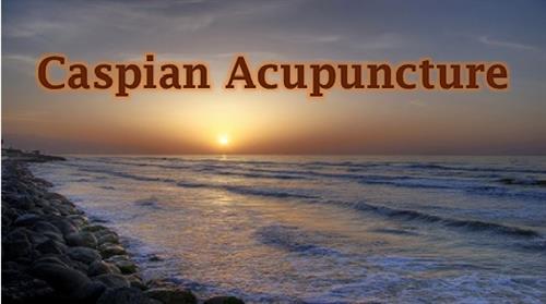 Caspian Acupuncture