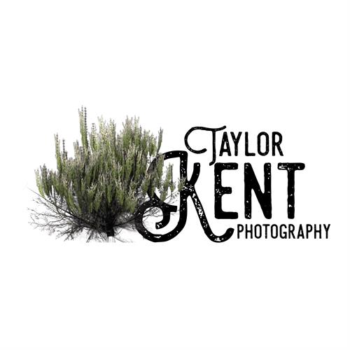 Taylor Kent Photography