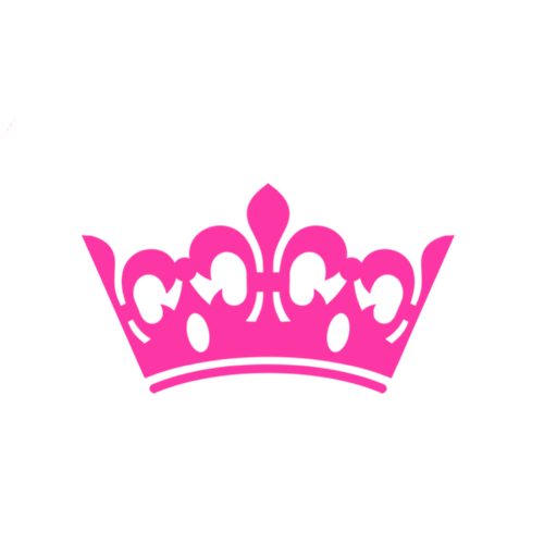 The Brow Baebe Studio
