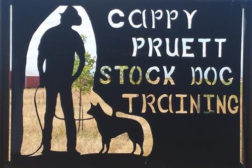 Cappy Pruett Stock Dog Training