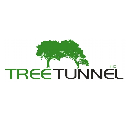Tree Tunnel Carpet Cleaning