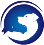 Dally Veterinary Medicine, LLC