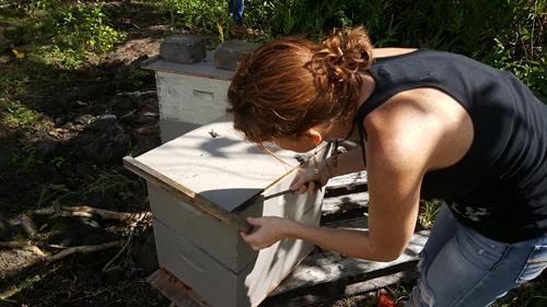 Christine Pierce - The Bohemian Bee Guardian