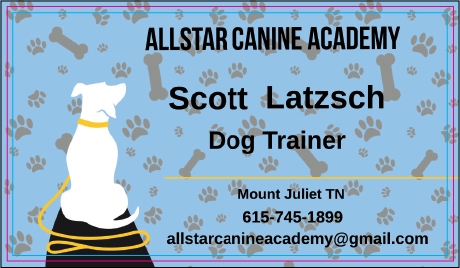 Allstar Canine Academy