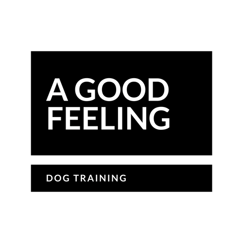 A Good Feeling Dog Training