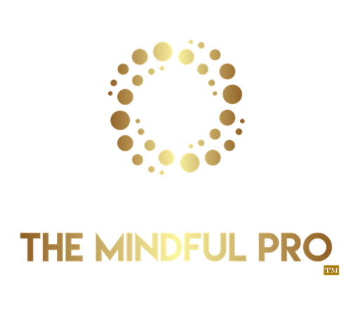The Mindful Pro-Instructor