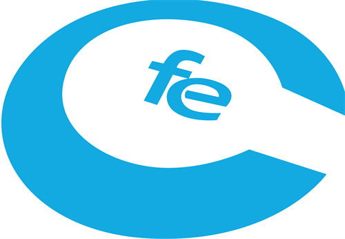 CFE Tax Services Inc.