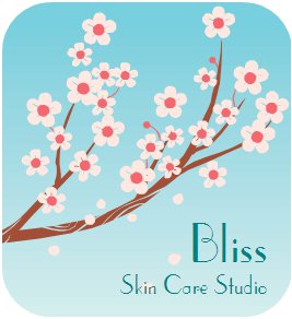 Bliss Skin Care Studio