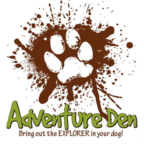 Canine Adventure Den Daycare