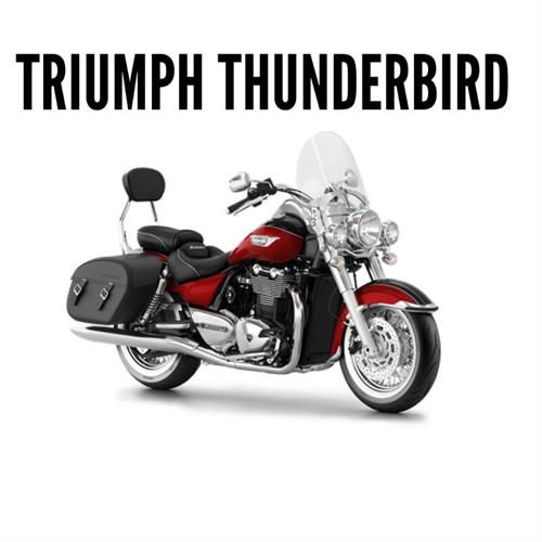 Triumph Thunderbird
