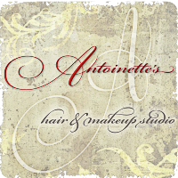 Antoinette's Hair and Makeup Studio