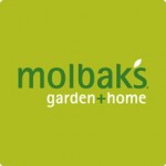 Molbak's Garden + Home