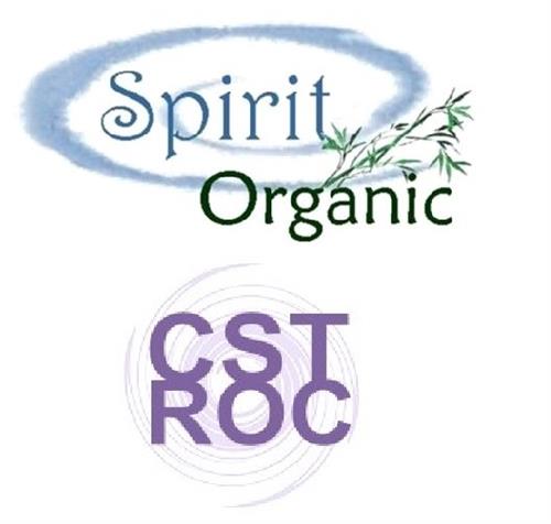 Spirit Organic