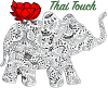 Thai Touch Foot and Body Massage LLC