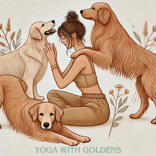 Yoga with Goldens (Mantra Maine)