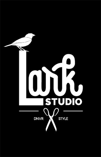 Lark Studio @999 Salon Suites