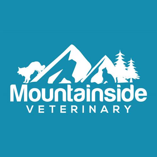 Mountainside Veterinary